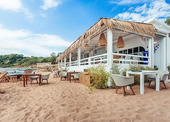 хотел андре 切尔诺莫雷茨